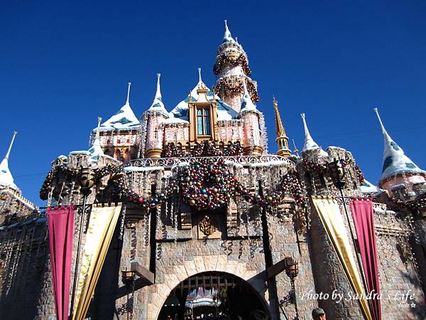 Sleeping Beauty Castle-6