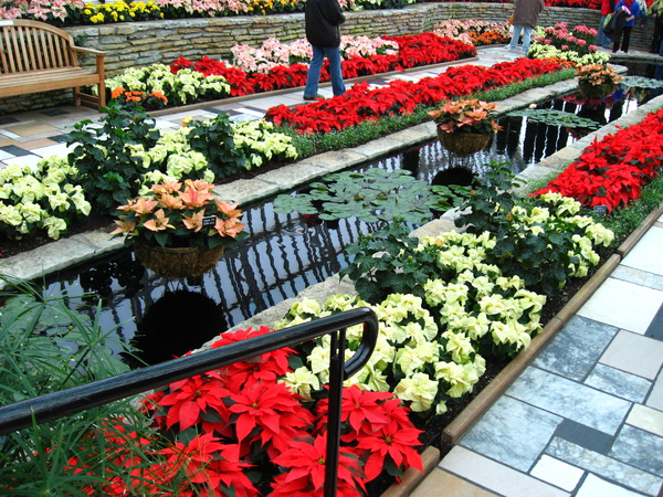 Sunken Garden Flower Show