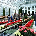 Sunken Garden Flower Show