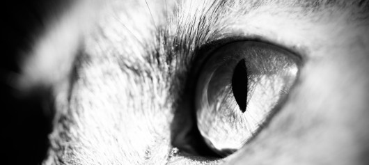 tumblr_llu65gimxN1qbt33io1_1280