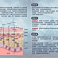 藻針衛教手冊內頁-菲堤.jpg