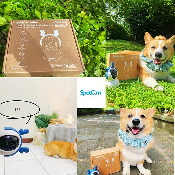 %E6%9C%AA%E5%91%BD%E5%90%8D