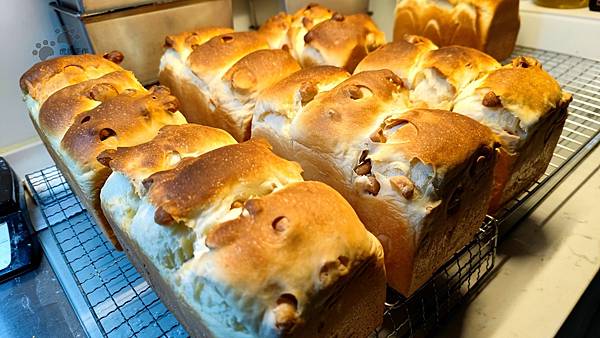 夏威夷豆手撕吐司