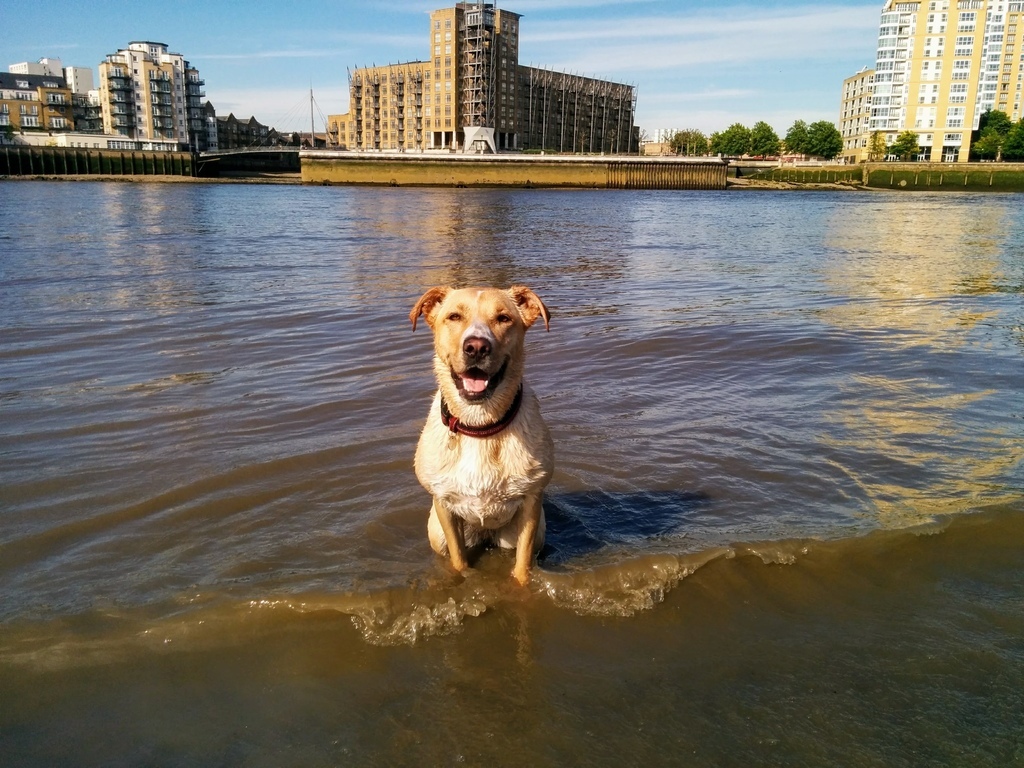 IMG_20170522_170038.jpg IMG_20170522_170038.jpg