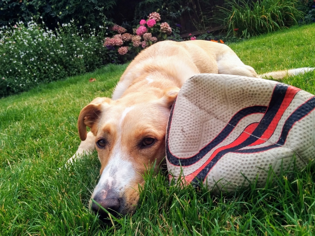 IMG_20160827_101728.jpg IMG_20160827_101728.jpg