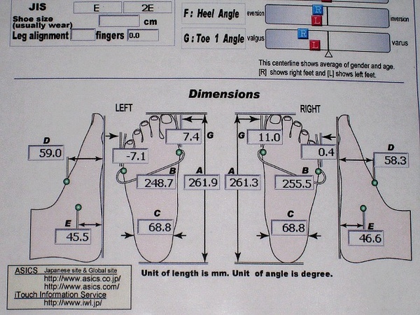 a: foot length (足长) 我双足长度较一般人大些, 双脚差异不大.
