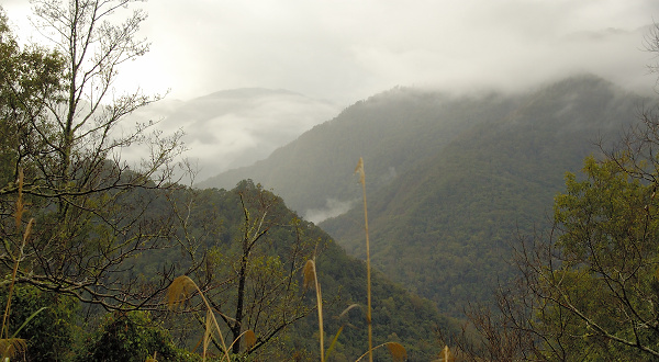 遠山