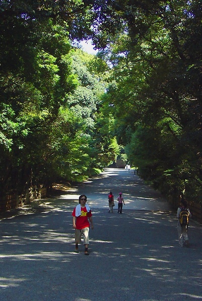 神宮正參道