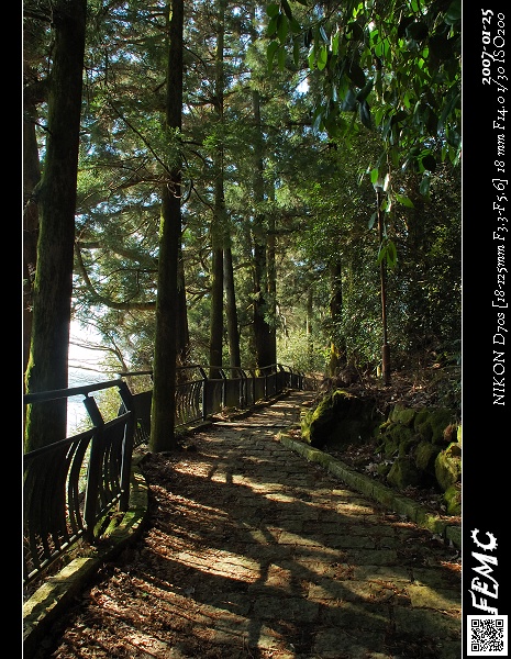 前往箱根神社的小徑