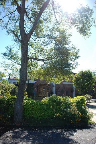 DSC_0009.jpg