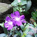 20140605_081737.jpg