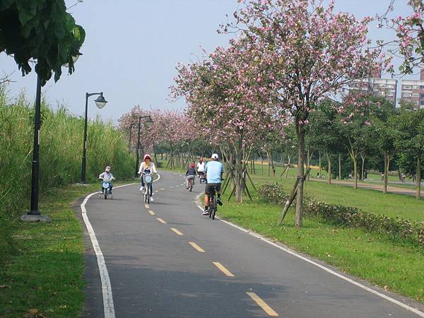 河堤腳踏車道 027