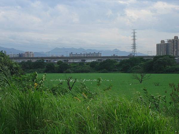 河堤腳踏車道 066