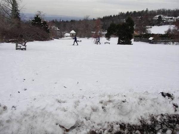 滑雪