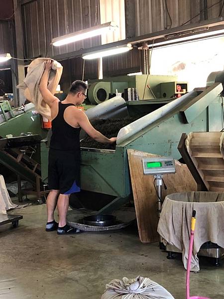 製茶過程 甲型乾燥機