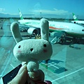 小兔公主第一次出國 :P