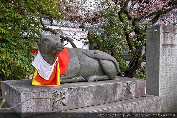 【京都】學問之神北野天滿宮