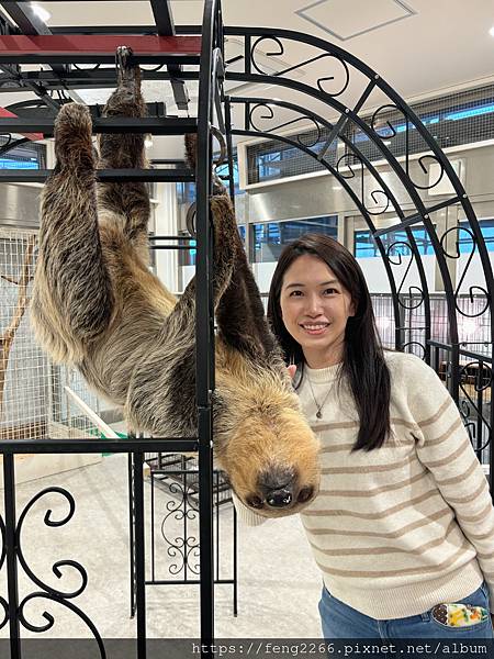 (日本／橫濱）animal touch橫濱港未來室內動物園(