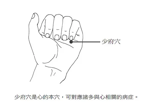 少府穴.png