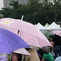 永遠風雨無阻的霹靂迷4.JPG