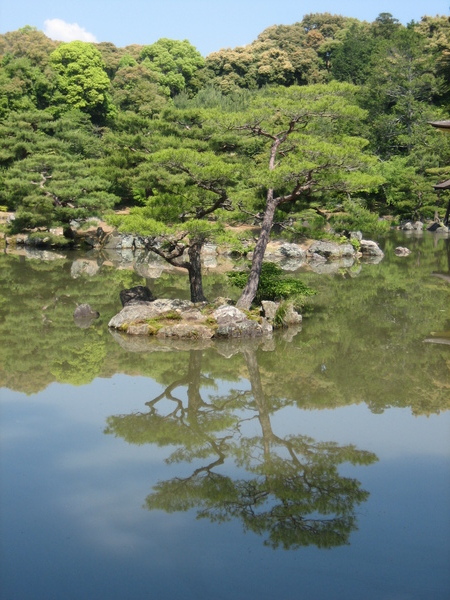 金閣寺一景