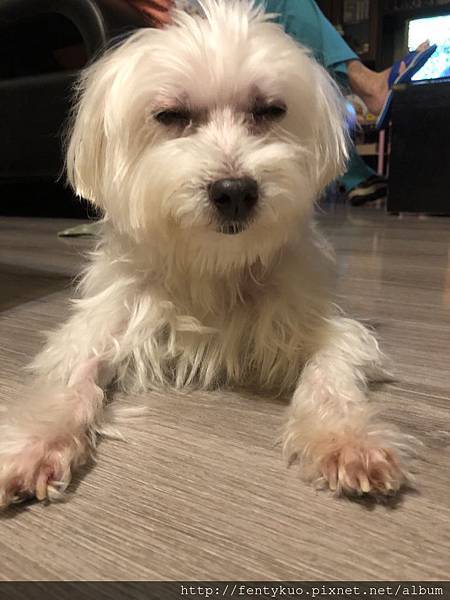 2018-08-23 16.17.24.jpg