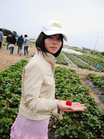 Organic strawberry