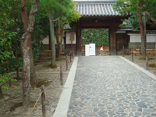 DSC04681.JPG