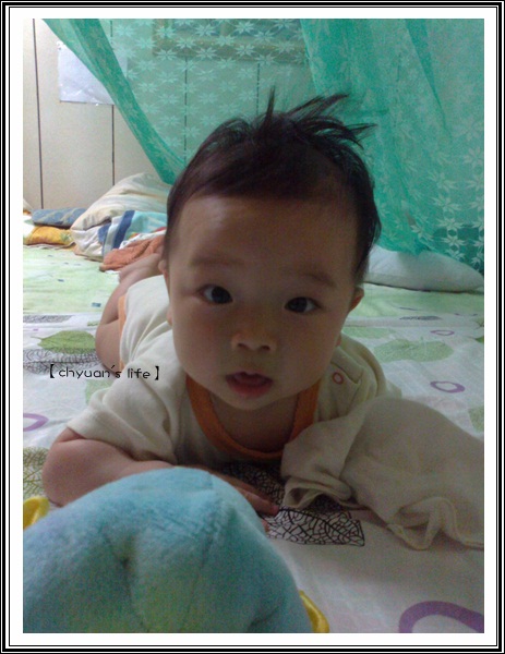 20120405206 20120405206
