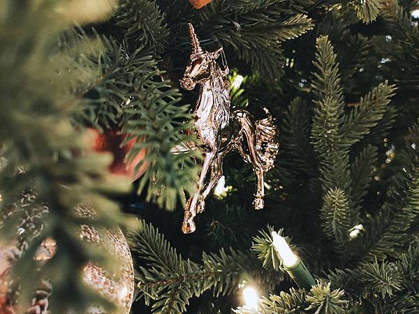 "熊熊"愛上你,攻陷你的心!熊控們衝阿~