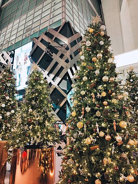 "熊熊"愛上你,攻陷你的心!熊控們衝阿~