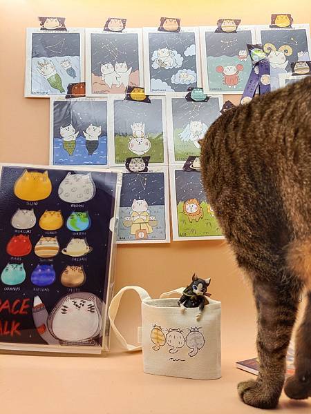 跟著「MIA STUDIO」遨遊宇宙星球貓貓~