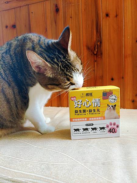 讓毛孩腸胃更舒適！威旺 WeWant 寵物益生菌全方位呵護