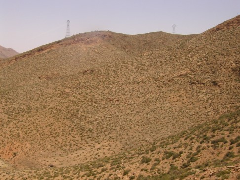 風景11-滿山遍野的迷迭香.jpg