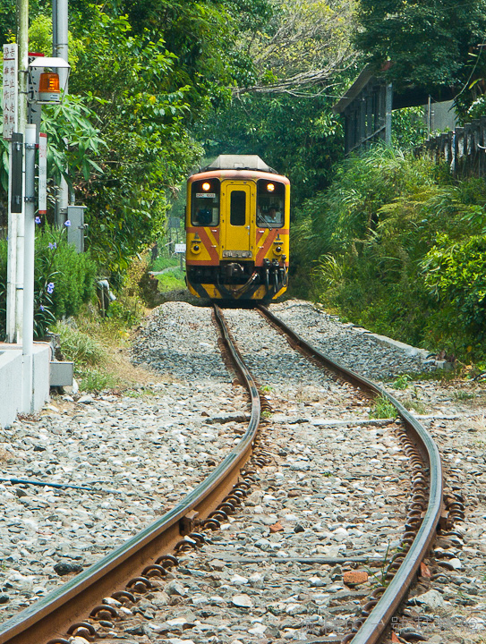 20110821望古嶺腳036-2.jpg