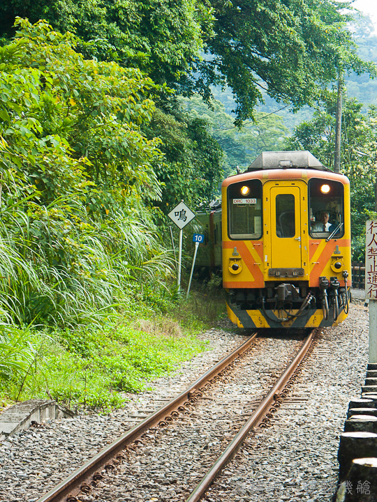 20110821望古嶺腳119-2.jpg