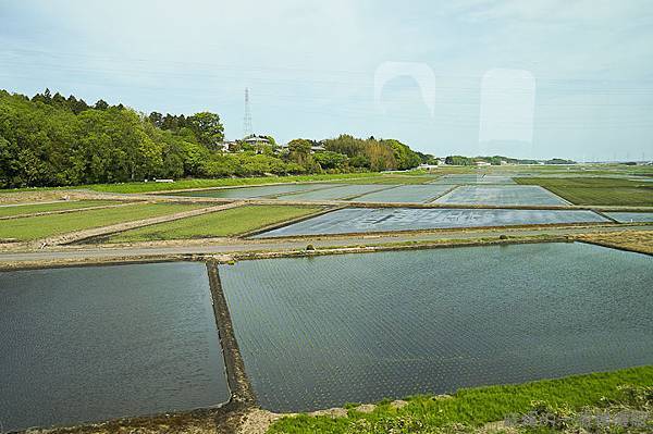 20120513日本第三天441-2