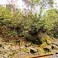 20120317大華車站20.jpg