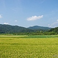 20120708田寮洋26.jpg