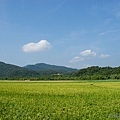 20120708田寮洋25.jpg