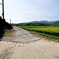 20120708田寮洋33.jpg