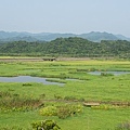 20120708田寮洋4.jpg