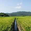 20120708田寮洋13.jpg