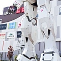 20120511日本第一天203-2.jpg