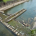 20110821望古嶺腳002-2.jpg