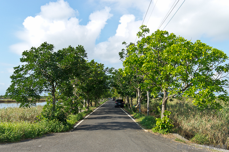 20130907頂埔水產養殖區-1.jpg