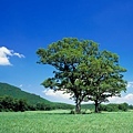 [wall001_com]_widescreen_nature_wallpaper_IMG0068.jpg