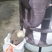 20160422_150036.jpg 20160422_150036.jpg