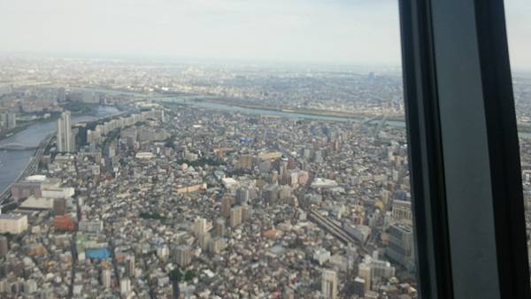 晴空塔上視野8