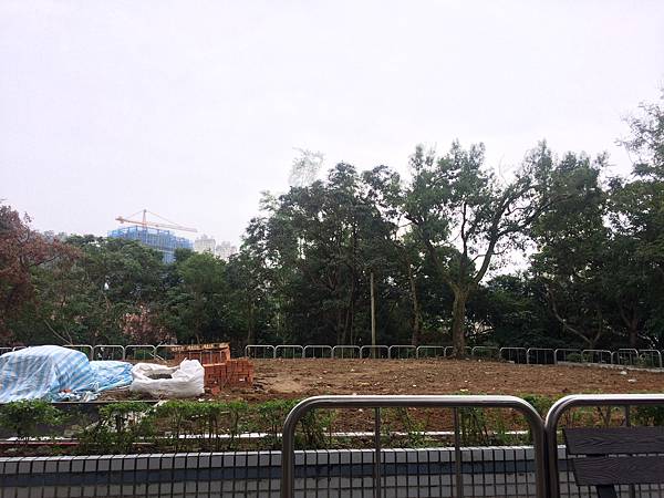 20151121八號公園改建中.JPG